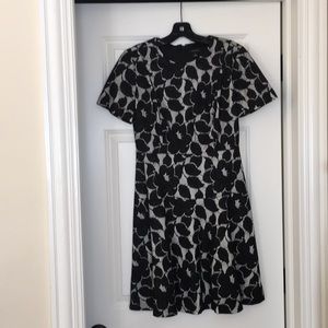Ann Taylor lace dress